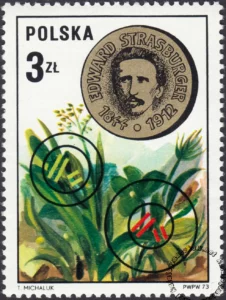 Uczeni Polacy znaczek numer 2139