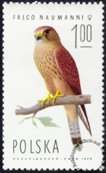 Sokoły znaczek numer 2208