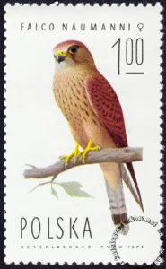 Sokoły znaczek numer 2208