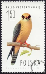 Sokoły znaczek numer 2209