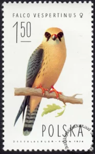 Sokoły znaczek numer 2209