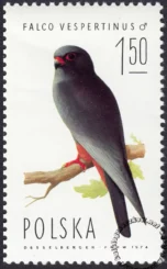 Sokoły znaczek numer 2210