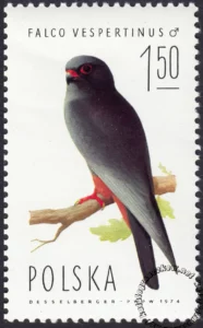 Sokoły znaczek numer 2210