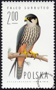 Sokoły znaczek numer 2211