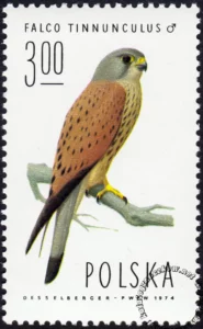 Sokoły znaczek numer 2212