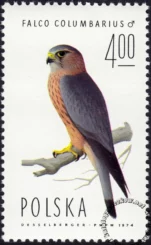 Sokoły znaczek numer 2213