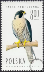 Sokoły znaczek numer 2214