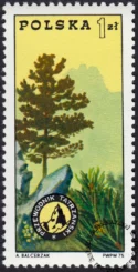 100 rocznica przewodnictwa w Polsce znaczek numer 2223