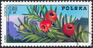 100 rocznica przewodnictwa w Polsce znaczek numer 2226