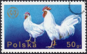 26 Zjazd Europejskiej Federacji Zootechnicznej w Warszawie znaczek numer 2231