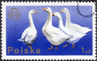 26 Zjazd Europejskiej Federacji Zootechnicznej w Warszawie znaczek numer 2232