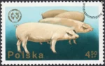 26 Zjazd Europejskiej Federacji Zootechnicznej w Warszawie znaczek numer 2237