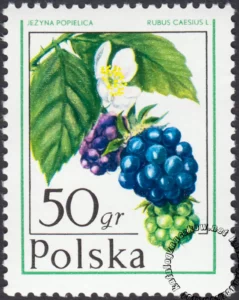 Owoce leśne znaczek numer 2340