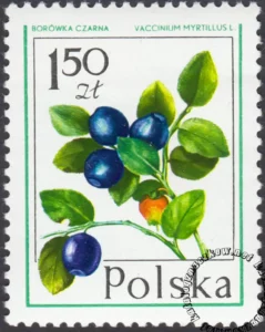 Owoce leśne znaczek numer 2343