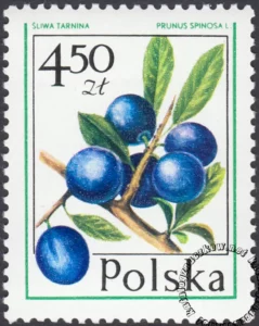 Owoce leśne znaczek numer 2345