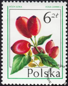 Owoce leśne znaczek numer 2346