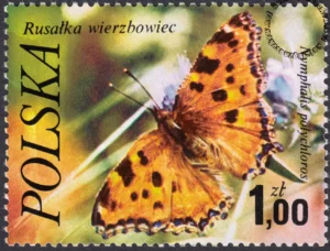 Motyle znaczek numer 2370