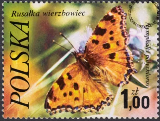 Motyle znaczek numer 2370