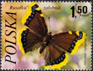 Motyle znaczek numer 2371