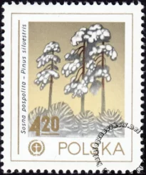 Ochrona środowiska - drzewa znaczek numer 2425