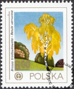 Ochrona środowiska - drzewa znaczek numer 2427