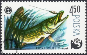 100 lat wędkarstwa polskiego znaczek numer 2475