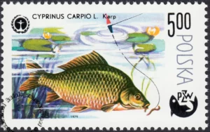 100 lat wędkarstwa polskiego znaczek numer 2476