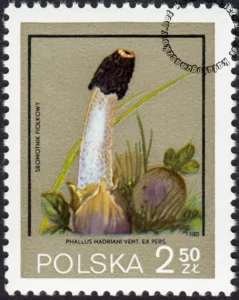 Polskie wyprawy naukowe znaczek numer 2547