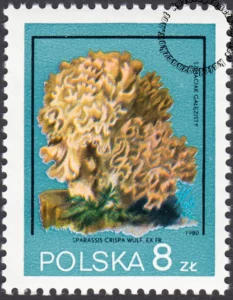 Polskie wyprawy naukowe znaczek numer 2549