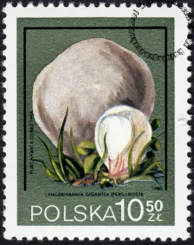 Polskie wyprawy naukowe znaczek numer 2550