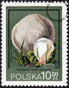 Polskie wyprawy naukowe znaczek numer 2550