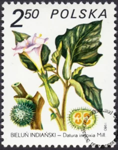 Rośliny lecznicze znaczek numer 2559