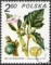 Rośliny lecznicze znaczek numer 2559