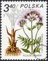 Rośliny lecznicze znaczek numer 2560