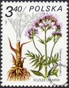 Rośliny lecznicze znaczek numer 2560