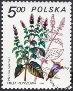 Rośliny lecznicze znaczek numer 2561