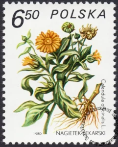 Rośliny lecznicze znaczek numer 2562