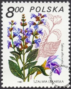 Rośliny lecznicze znaczek numer 2563