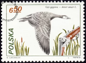 Łowiectwo znaczek numer 2606