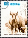 Restytucja żubra znaczek numer 2608