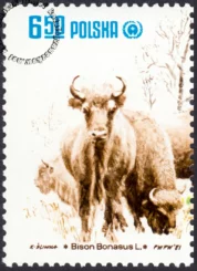 Restytucja żubra znaczek numer 2608