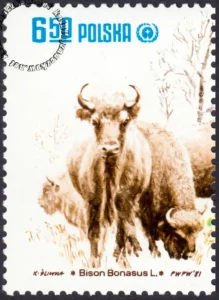 Restytucja żubra znaczek numer 2608
