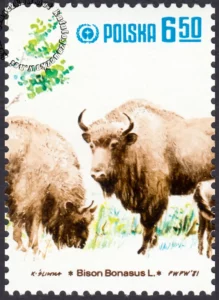 Restytucja żubra znaczek numer 2609