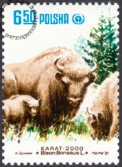 Restytucja żubra znaczek numer 2610