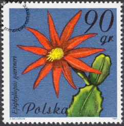 Kwiaty sukulentów znaczek numer 2636