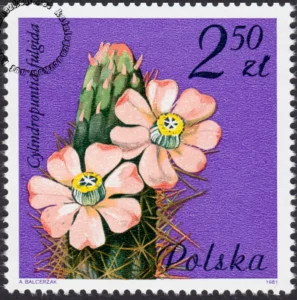 Kwiaty sukulentów znaczek numer 2639