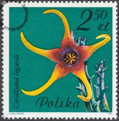 Kwiaty sukulentów znaczek numer 2640