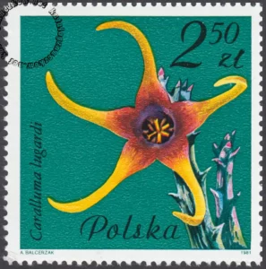 Kwiaty sukulentów znaczek numer 2640