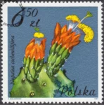 Kwiaty sukulentów znaczek numer 2641