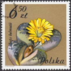 Kwiaty sukulentów znaczek numer 2642